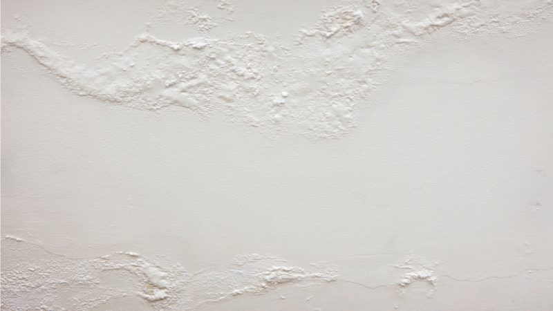 Como tratar bolhas na parede e evitar que voltem